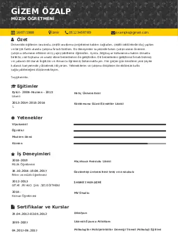 Müzik Öğretmeni Cv Örnekleri cv indir